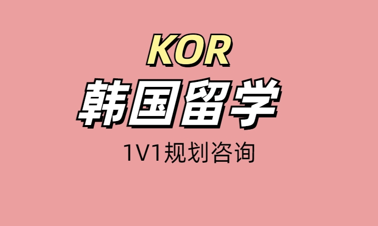 韩国大学1Vs1咨询服务