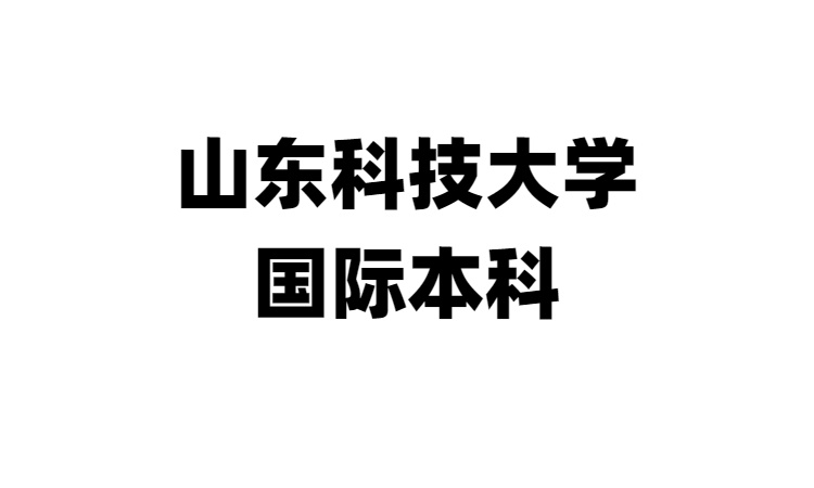 山东科技大学1+2/1+3国际本科