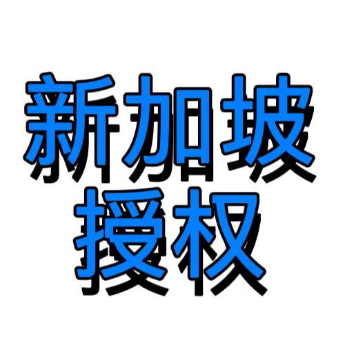 新加坡大学授权书